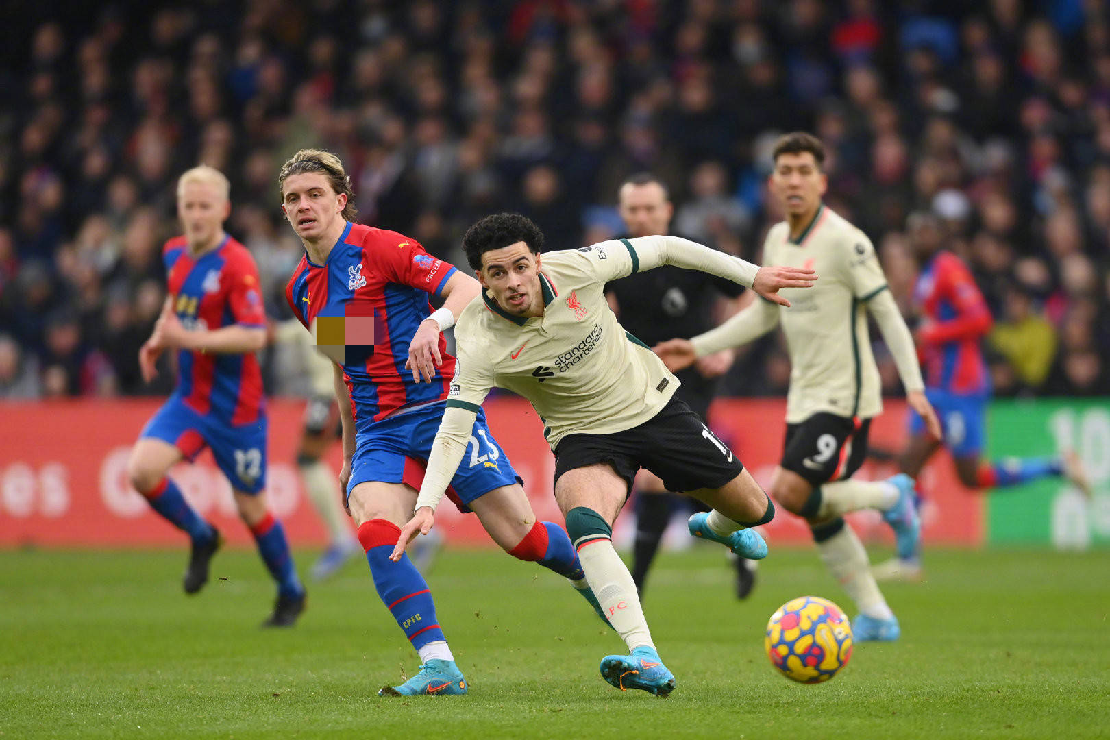 冠的信心并 冠的信心并